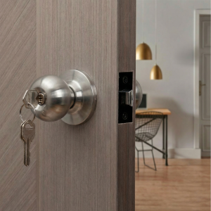 Cylindrical Door Lock
